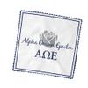 Alpha Omega Epsilon Eyeglass Cleaner & Microfiber Cleaning Cloth (Alpha Omega Epsilon - 1) view 3