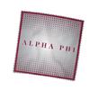 Alpha Phi Eyeglass Cleaner & Microfiber Cleaning Cloth (Alpha Phi - 4) view 3