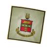 Alpha Chi Omega Eyeglass Cleaner & Microfiber Cleaning Cloth (Alpha Chi Omega - 1) view 3