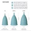 Pure Ella Menstrual Cup - Reusable Soft Silicone Period Cup - Wear for 12 Hours - Medical Grade & BPA Free Silicone - Eco Friendly & Hypoallergenic Feminine Hygiene  Sizes XS, Small, Large (Small) view 3