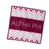 Alpha Phi Eyeglass Cleaner & Microfiber Cleaning Cloth (Alpha Phi - 11) view 3