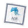 Alpha Omega Epsilon Eyeglass Cleaner & Microfiber Cleaning Cloth (Alpha Omega Epsilon - 3) view 3