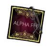 Alpha Phi Eyeglass Cleaner & Microfiber Cleaning Cloth (Alpha Phi - 10) view 2