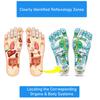 ATYUWZP Acupressure Reflexology Socks for Women & Men Foot Massage Five Toe Separate Socks Cotton Reflexology Acupressure Charts & Rod Included; Relief Body Stress & Aches, Trigger Health & Wellness view 3