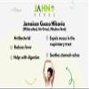 Jamaican Guaco Mikania (Wildcrafted, Air-Dried, Alkaline Herb) view 4