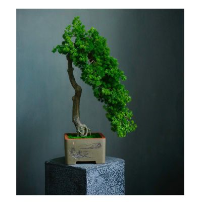 SHUTING2020 Fake Bonsai Tree Grade Simulation Welcome to Tree Tree Bonsai Hotel Office Tea Several Live Hall Extreme Decoration Beautiful Items Artificial Bonsai Tree (Color : E)