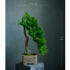 SHUTING2020 Fake Bonsai Tree Grade Simulation Welcome to Tree Tree Bonsai Hotel Office Tea Several Live Hall Extreme Decoration Beautiful Items Artificial Bonsai Tree (Color : E) view 2