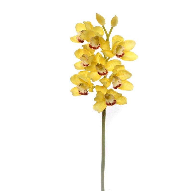 Silk Cymbidium Orchid Stem - Yellow, 30" Long with 10 Flowers and 2 Buds | Perfect for Weddings, Home Decor, and DIY Arrangements | Lifelike Artificial Floral Stem | Includes One Stem per Order