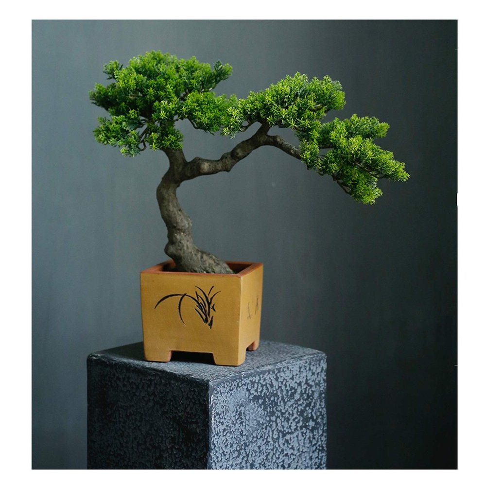 SHUTING2020 Fake Bonsai Tree Grade Simulation Welcome to Tree Tree Bonsai Hotel Office Tea Several Live Hall Extreme Decoration Beautiful Items Artificial Bonsai Tree (Color : C)