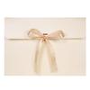 10Pcs Envelope Presents Box Rectangle Paperboard Presents Packaging Box with Ribbon Bowknot Lingerie Scarves Shirt Envelope Wrapping Box Bag for Birthday Wedding Anniversary Bridal Shower Xmas Party view 2
