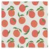 DANICA NOW DESIGNS Citrus Beeswax Wrap, 3 CT view 2