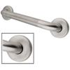 12 Inch Concealed Flange Textured Ada Grab Bar - Stainless Steel view 1