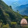 100% Arabica Colombian Medium PremiumCoffee Beans (5) view 4