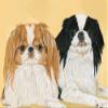 Animal Theme Gifts, Japanese Chin Blank Note Card view 1