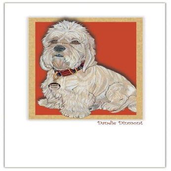Animal Theme Gifts, Dandie Dinmont Blank Note Cards Boxed