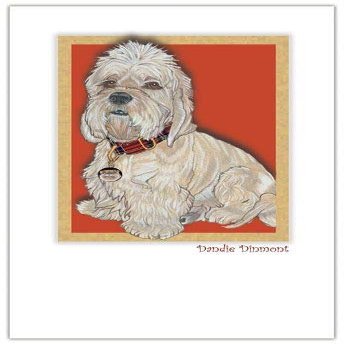 Animal Theme Gifts, Dandie Dinmont Blank Note Cards Boxed