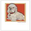 Animal Theme Gifts, Dandie Dinmont Blank Note Cards Boxed view 1