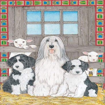 Animal Theme Gifts, Bearded Collie Blank Note Cards Boxed