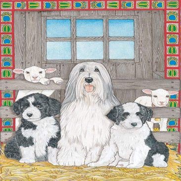 Animal Theme Gifts, Bearded Collie Blank Note Cards Boxed