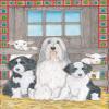 Animal Theme Gifts, Bearded Collie Blank Note Cards Boxed view 1