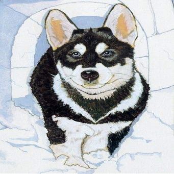 Animal Theme Gifts, Siberian Husky Pup Blank Note Cards Boxed