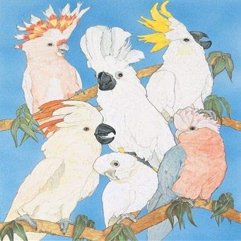 Animal Theme Gifts, Cockatoo Blank Note Cards Boxed