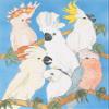Animal Theme Gifts, Cockatoo Blank Note Cards Boxed view 1