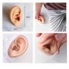 CHUANCI Soft Silicone Ear Model for Hearing aid 1:1 Human Ear Ear Model Simulation Display Props Teaching Tools Jewelry Display Earrings (1PC Flesh Right) view 3