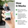 ProbioSlim, 2-Pack, Probiotic Supplement for Women and Men with Probiotics and Green Tea Extract, Reduce Gas, Bloating, Constipation, Support Digestive Health & Gut Health, Force Factor, 60 Capsules view 4