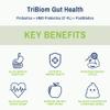 Diversify Total Gut Health Human Milk Oligosaccharides with prebiotics + Resistant Starch. Precision Probiotic Formula to Help with Leaky Gut. Vegan, Non-GMO Gluten-Free (1 Unit) view 3