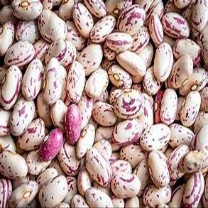 Bulk Dry Cranberry Beans 20 Pounds
