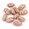 Bulk Dry Cranberry Beans 20 Pounds view 2