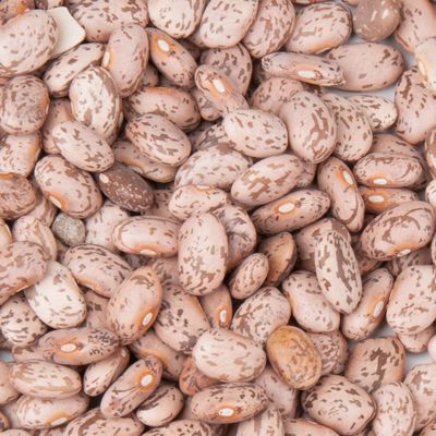 Bulk Dry Organic Pinto Beans 20 Pounds