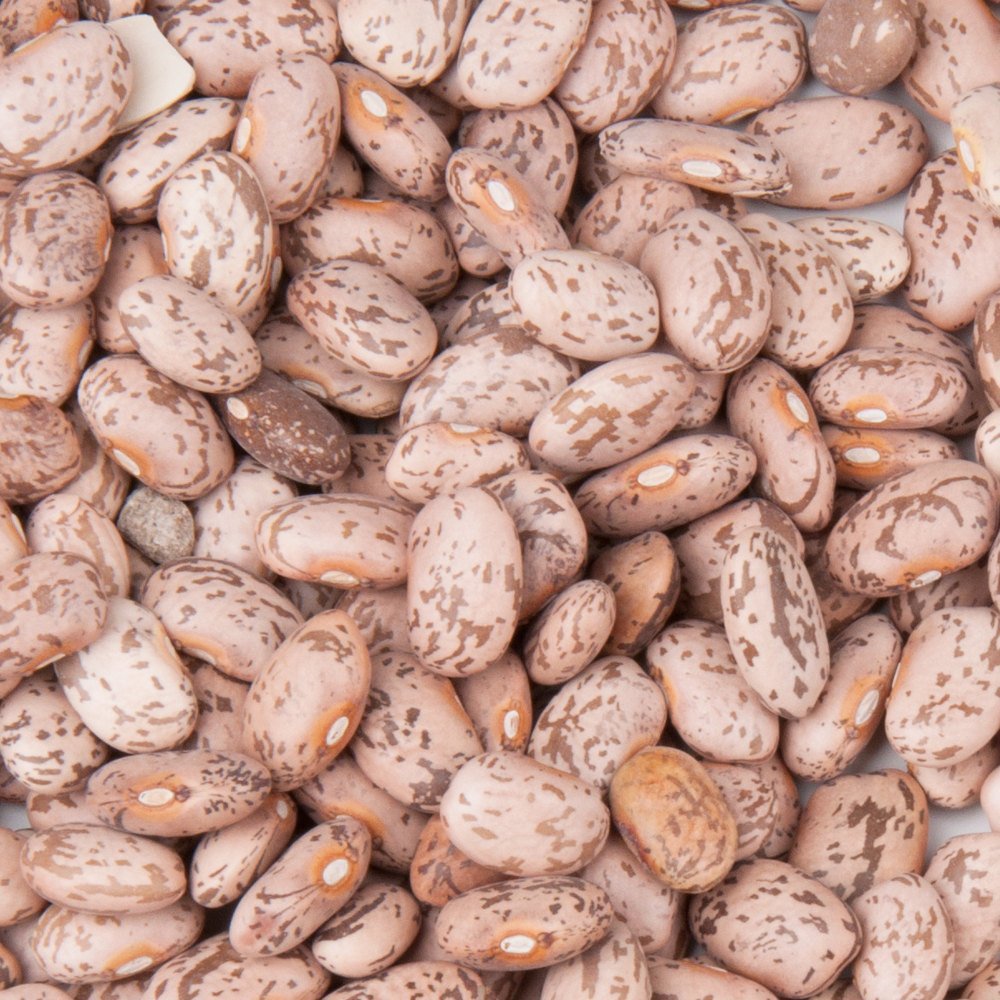Bulk Dry Organic Pinto Beans 20 Pounds