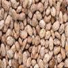 Bulk Dry Organic Pinto Beans 20 Pounds view 2