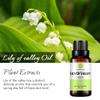 Lily of Valley Essential Oil (30ML), 100% Pure Natural Organic Aromatherapy Lily of Valley Oil for Diffuser, Massage, Skin Care, Yoga view 2