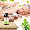 Lily of Valley Essential Oil (30ML), 100% Pure Natural Organic Aromatherapy Lily of Valley Oil for Diffuser, Massage, Skin Care, Yoga view 4