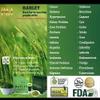 Pure Barley Powdered Drink Mix Organic Barley Green Natural Blend view 2