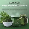 Pure Barley Powdered Drink Mix Organic Barley Green Natural Blend view 3