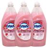 Dawn Gentle Clean Dishwashing Liquid, Pomegranate & Rose Water view 1