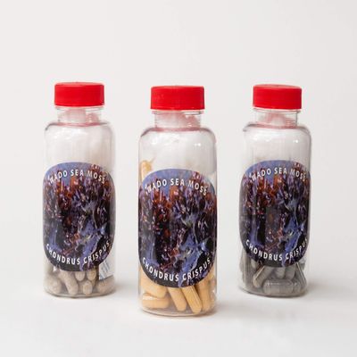 WADO876 Chondrus Crispus Sea Moss Capsules (60 Capsules)