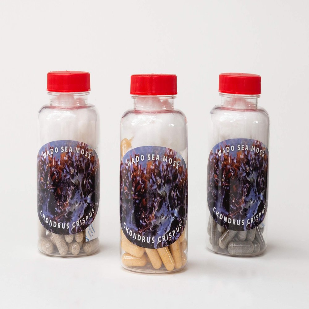 WADO876 Chondrus Crispus Sea Moss Capsules (60 Capsules)
