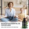Eucalyptus Essential Oil - 100% Pure Eucalyptus Oil for Diffuser, Humidifier, Sinus, Cold, and Aromatherapy - Natural Oil for Skin, Hair, Scalp and Massage view 4