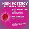 B12 Energy Gummies 3000 mcg - Extra Strength Vitamin B 12 Gummy for Metabolism & Immune System Support - Chewable Dietary B12 Supplements for Adults & Kids Caffeine Free Gummy Vitamin - 120 Gummies view 3