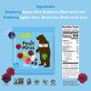 Bear Real Fruit Snack Minis, Raspberry/Blueberry view 2