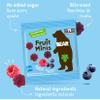 Bear Real Fruit Snack Minis, Raspberry/Blueberry view 4