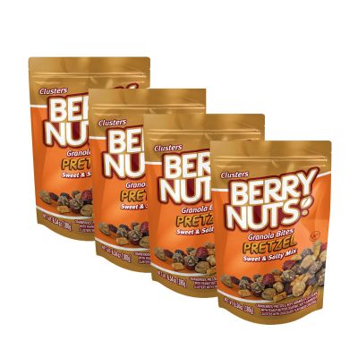 Berry Nuts Granola Bites Pretzel Mix 6.34 Oz Each (4 Pack)