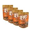 Berry Nuts Granola Bites Pretzel Mix 6.34 Oz Each (4 Pack) view 1