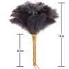 Aldwin Ostrich Feather Duster, 16 inch Ostrich Feather Duster with Wood Handle Reusable, Fluffy Natural Genuine Handheld Feather Duster for Cleaning Supplies, Home, Car, Office view 2