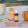 Colief Vitamin C Drops for Babies | Daily Immune Support for Infants Age +1 | Diary, Gluten and Preservative Free | Supports Development of Healthy Bones and Teeth | 600 Drops view 4